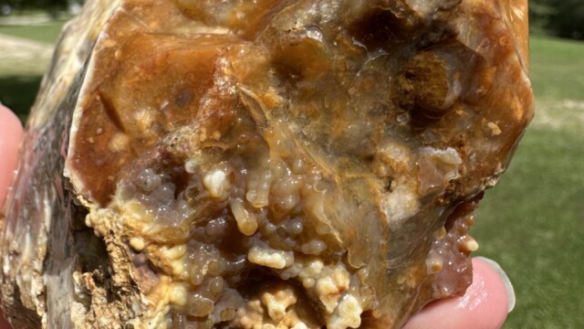 Savannah River Agate