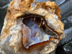 Savannah River Agate