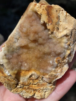 Savannah River Agate