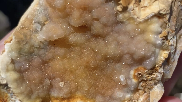 Savannah River Agate