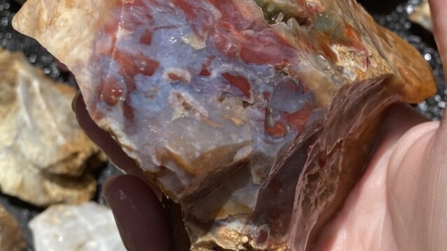 Savannah River Agate