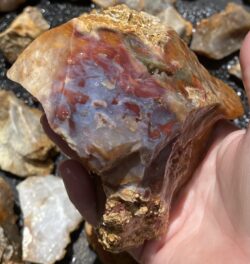 Savannah River Agate