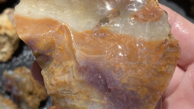 Savannah River Agate