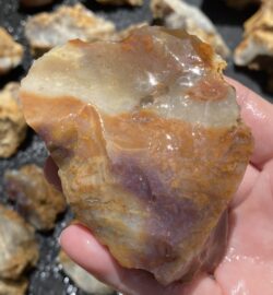 Savannah River Agate