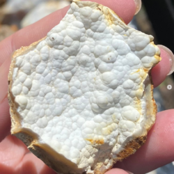 Savannah River Agate