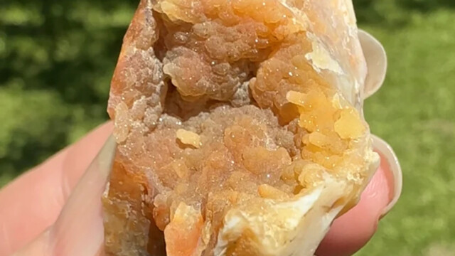 Savannah River Aagte